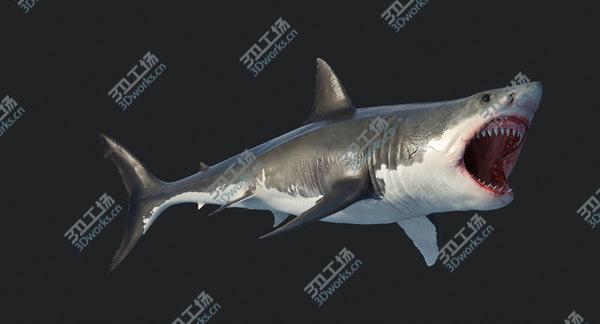 images/goods_img/20210312/3D Great Shark White/4.jpg